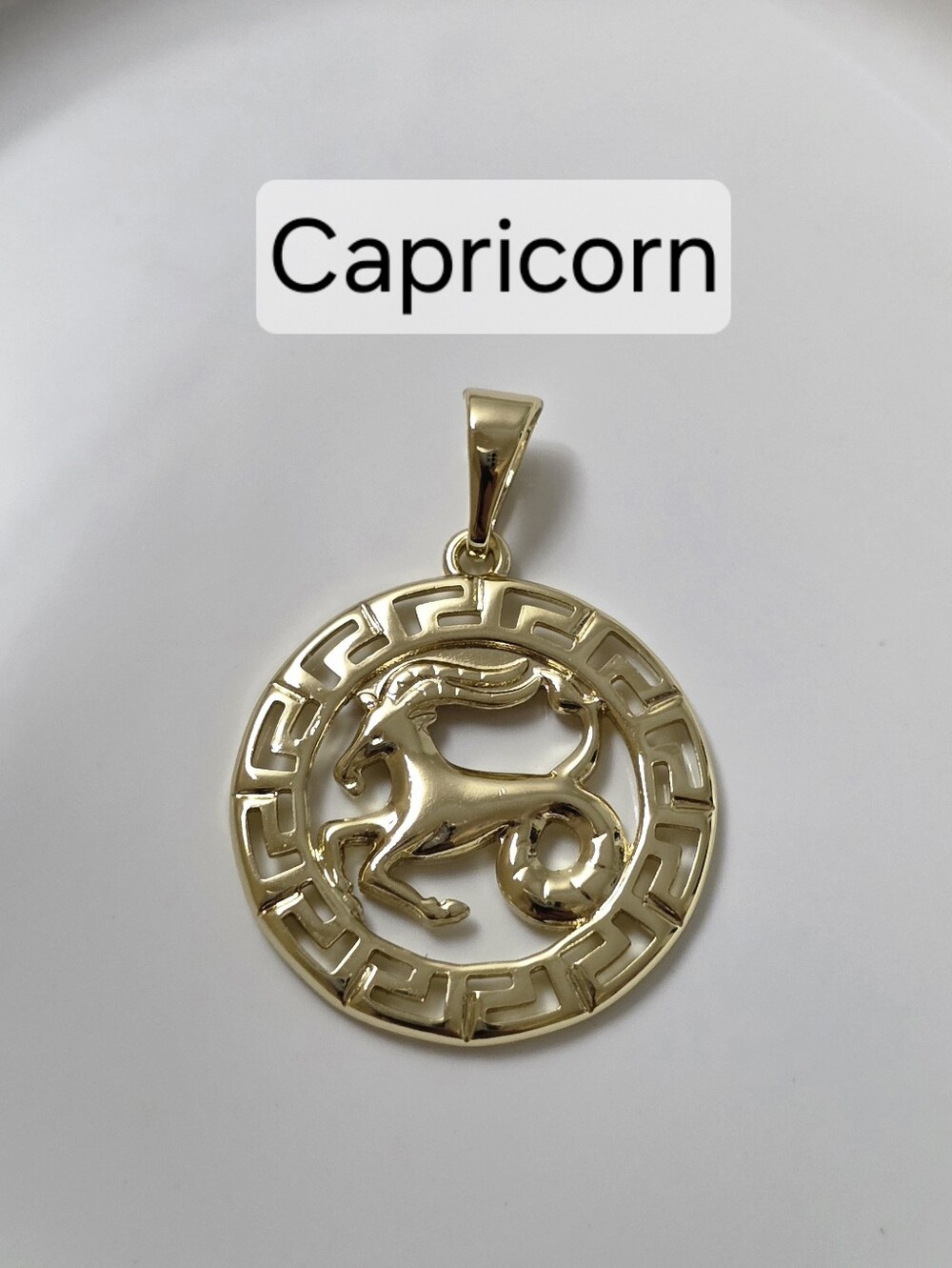 Zodiac Capricorn Design Sign Pendant